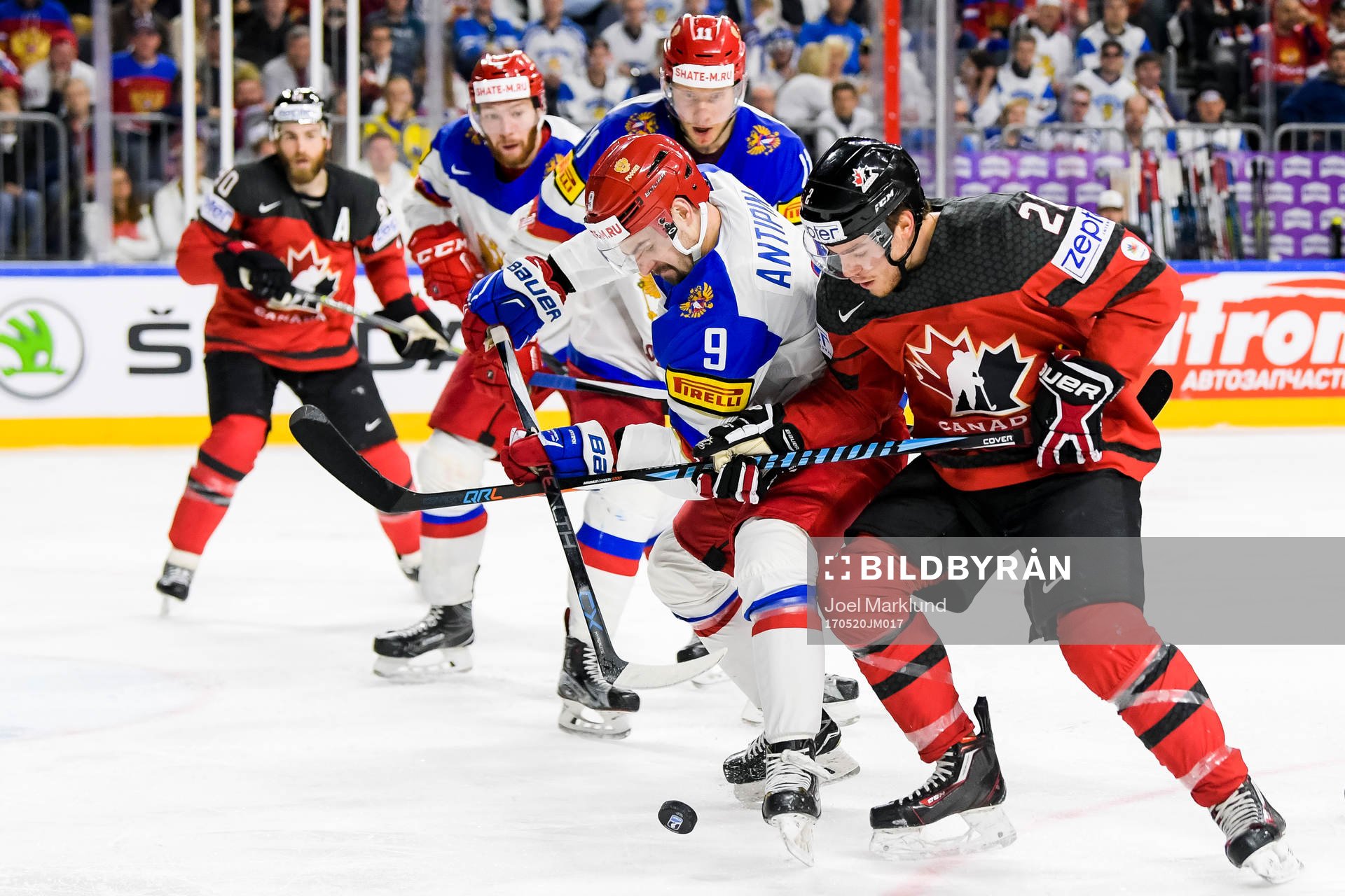 Rysslands Viktor Antipin och Kanadas Brayden Point i