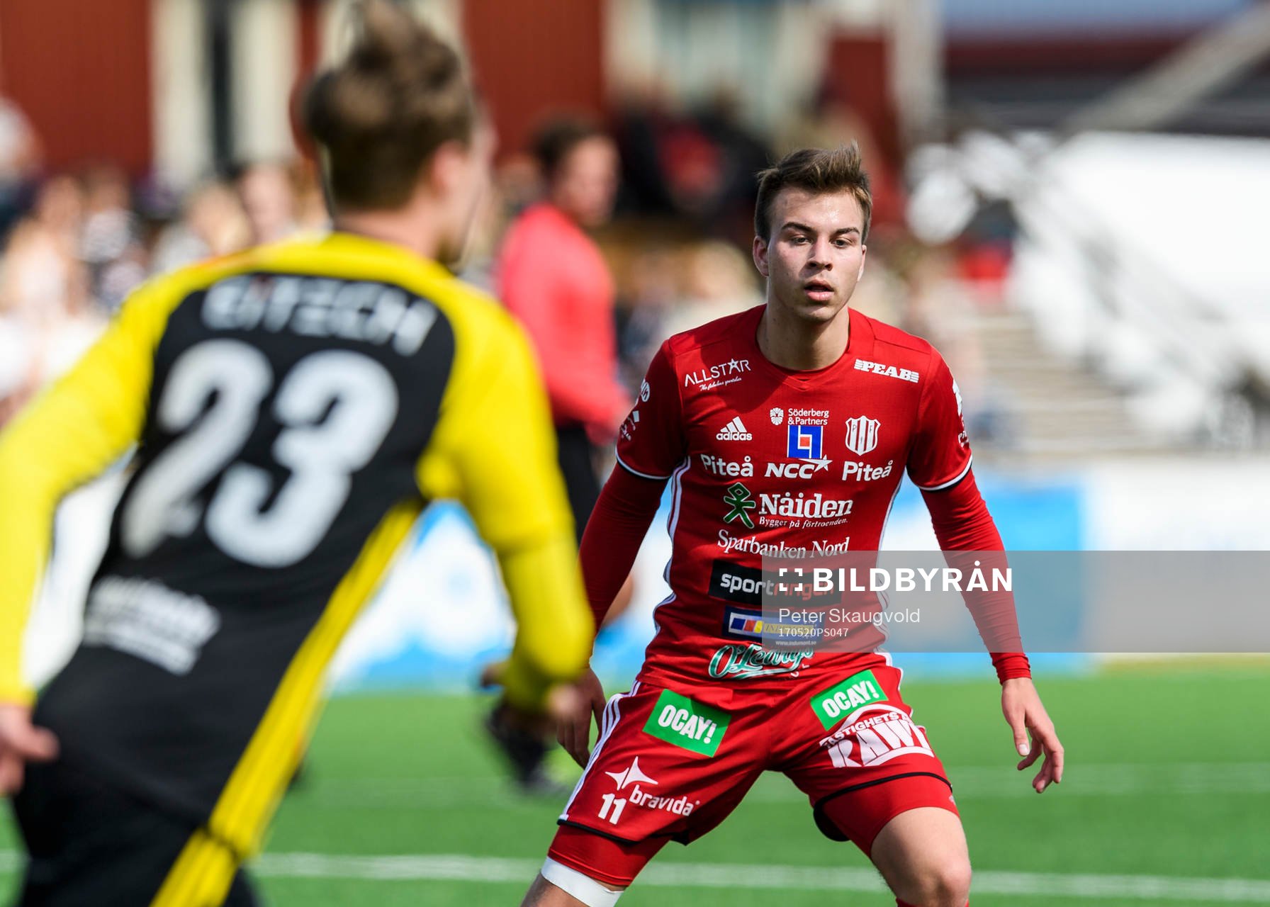 Piteås Alex Naylor