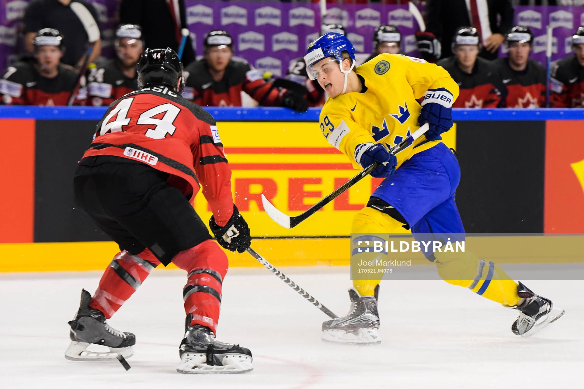 Sveriges William Nylander