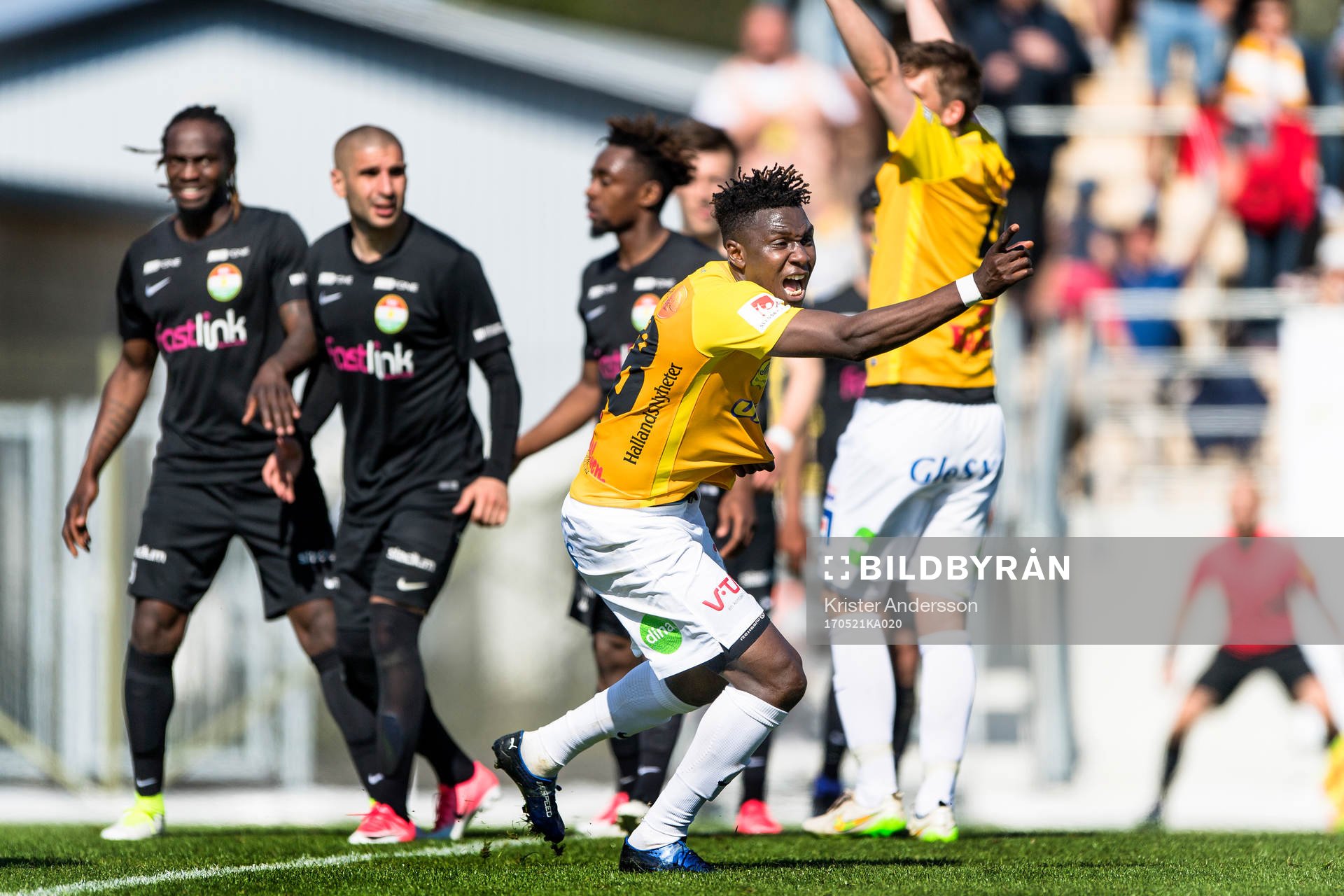 Falkenbergs Dominic Chatto jublar