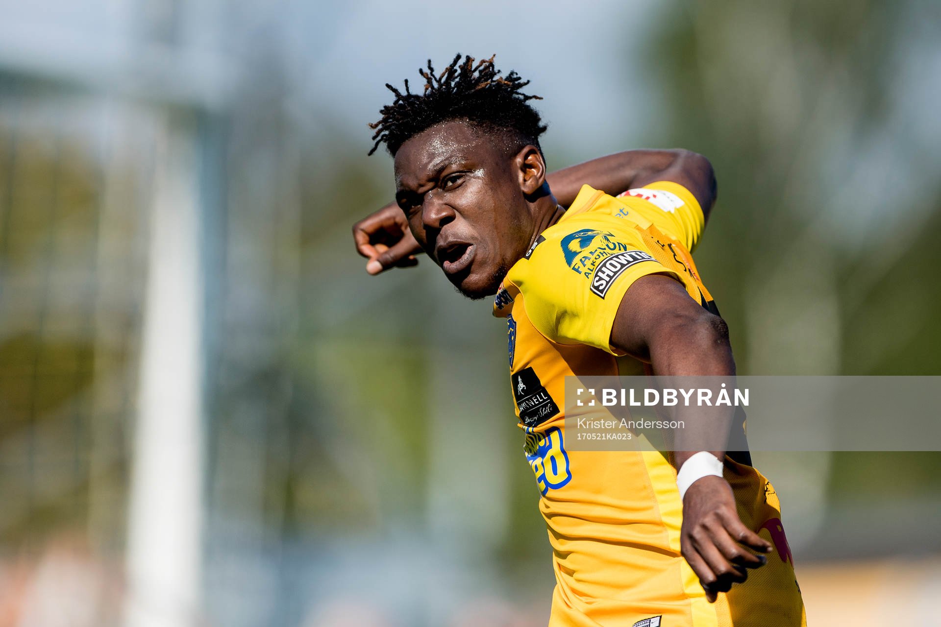 Falkenbergs Dominic Chatto jublar