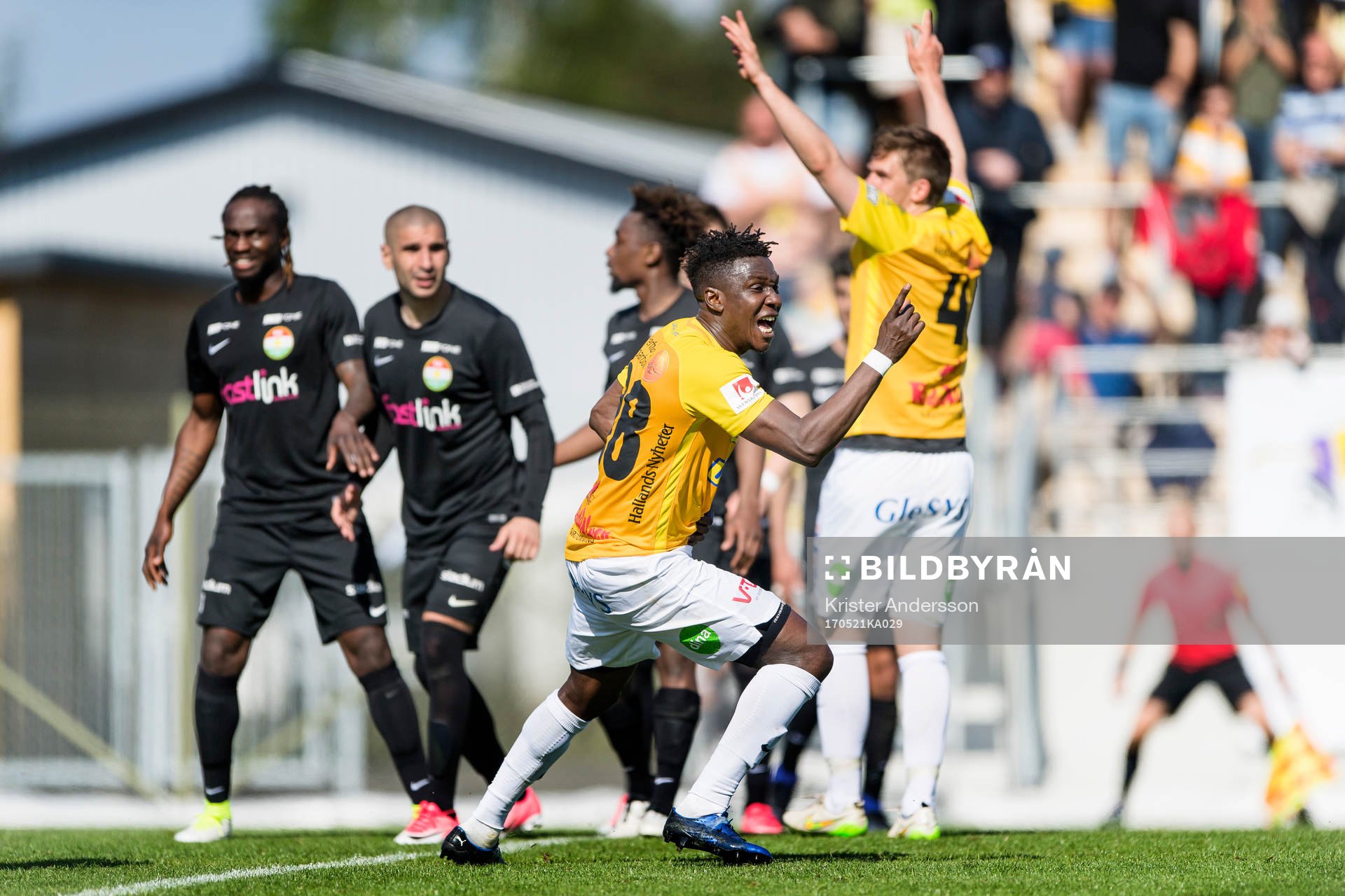 Falkenbergs Dominic Chatto jublar