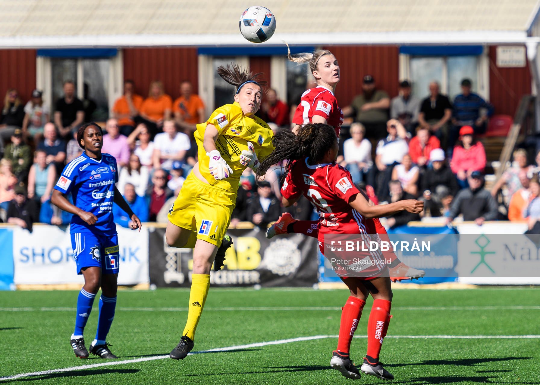 Piteås Emelie Lövgren och Vittsjös målvakt Shannon Lynn