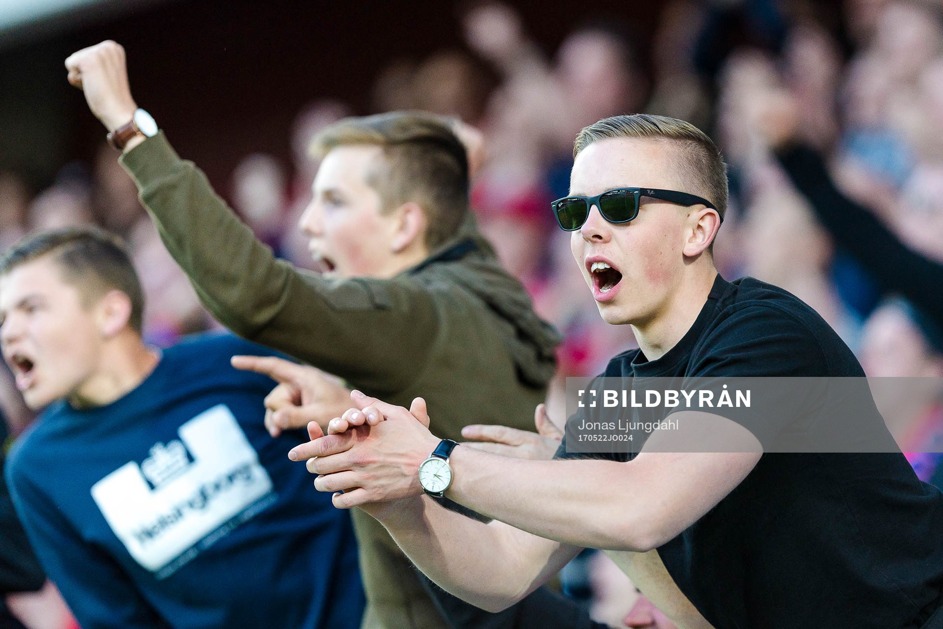 Helsingborgs supportrar jublet