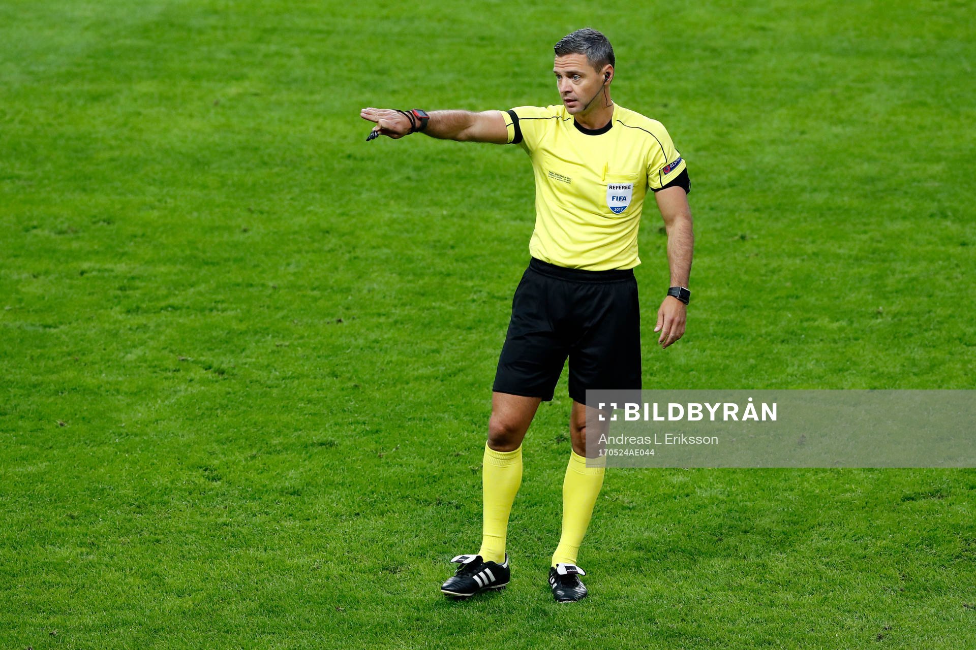 Domaren Damir Skomina