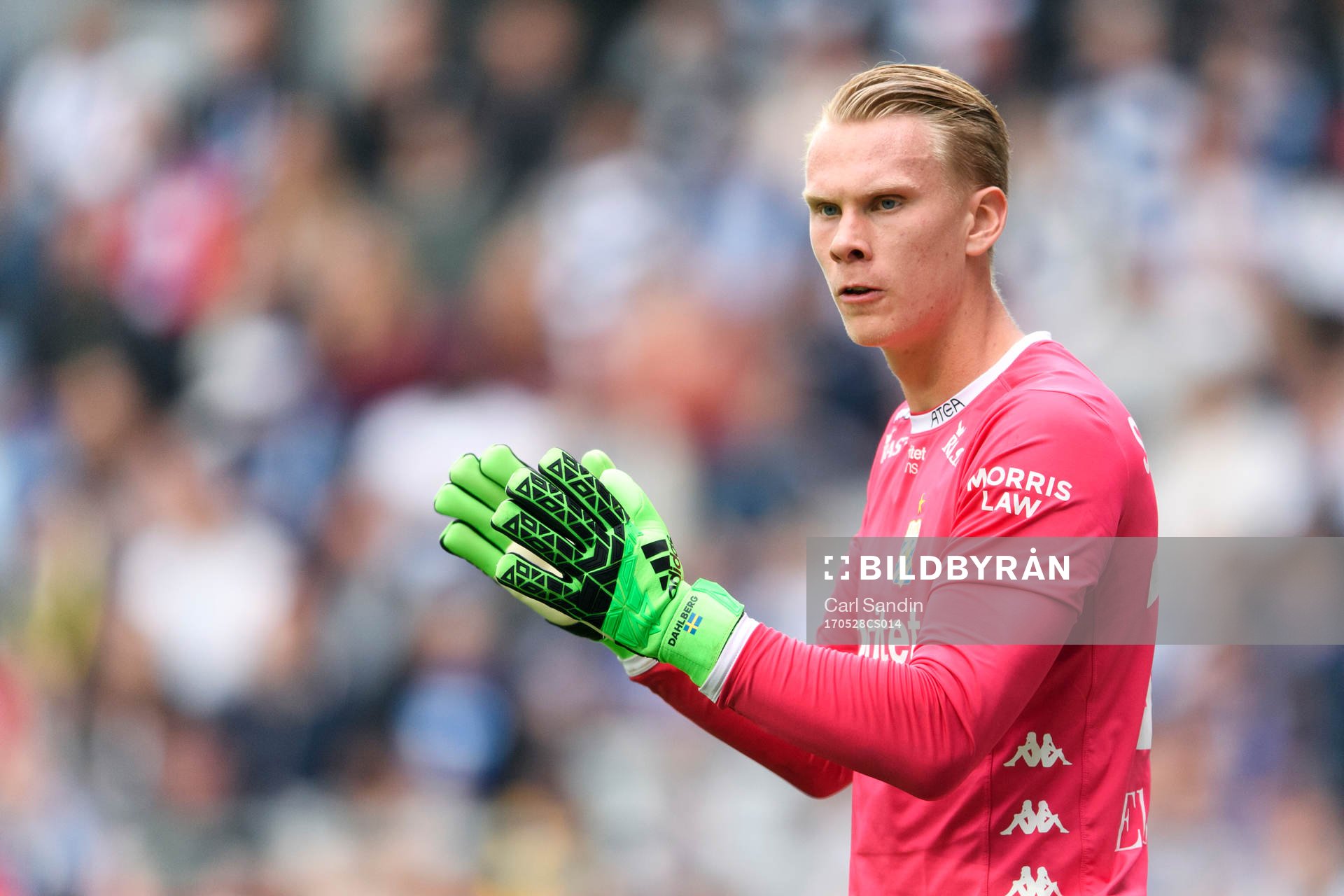 IFK Göteborgs målvakt Pontus Dahlberg