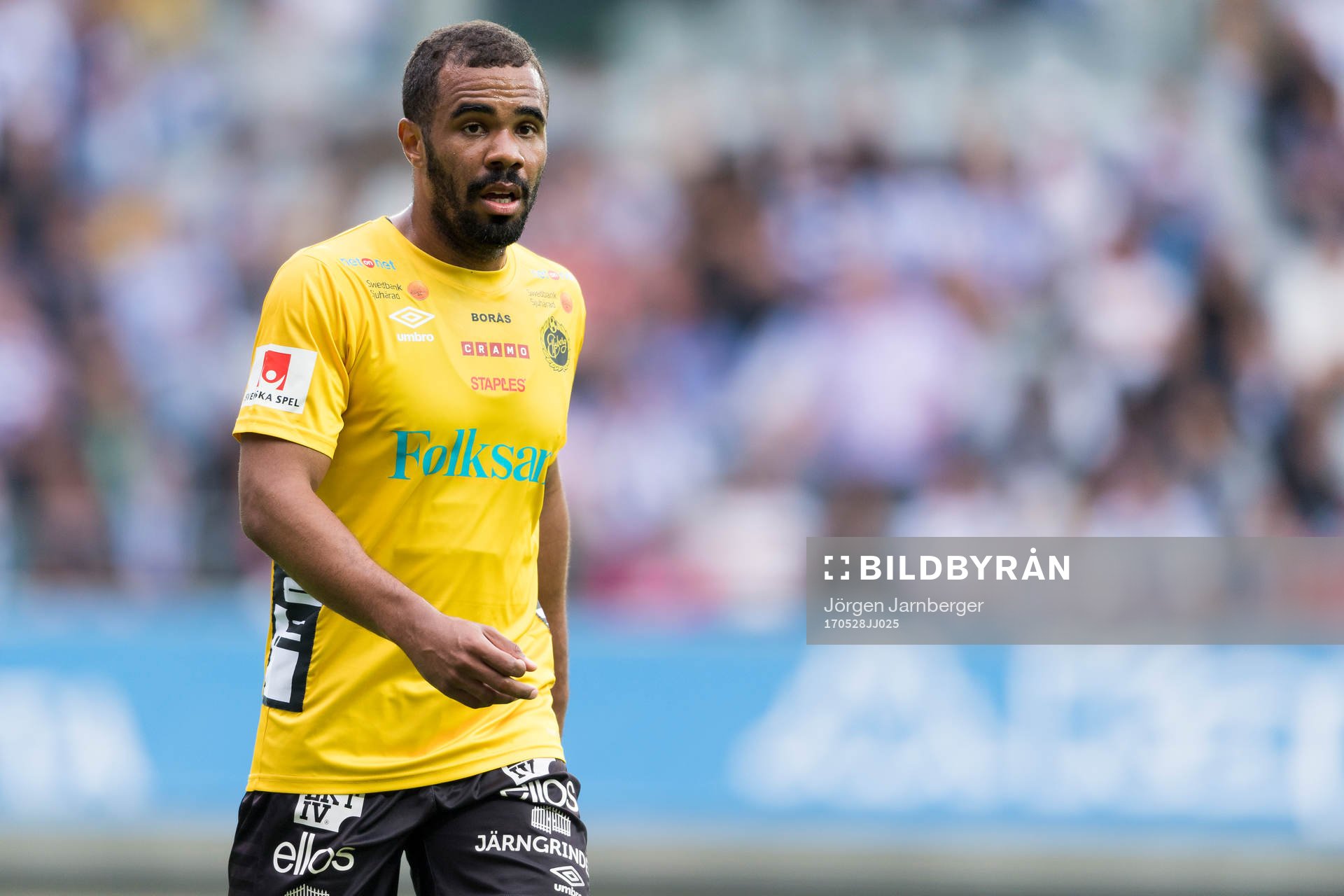 Elfsborgs Alex Dyer