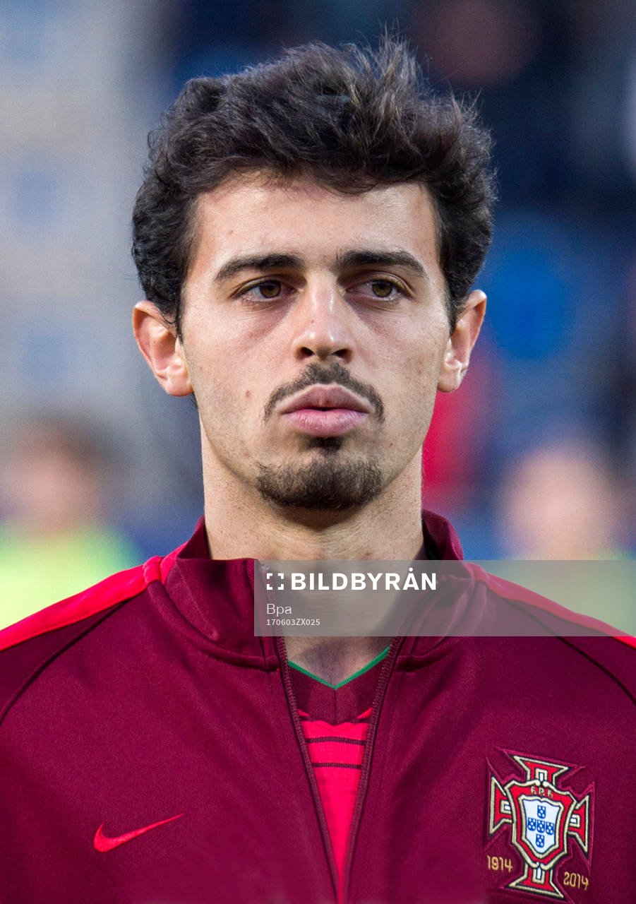 Bernardo Mota Veiga de Carvalho e Silva, Portugal