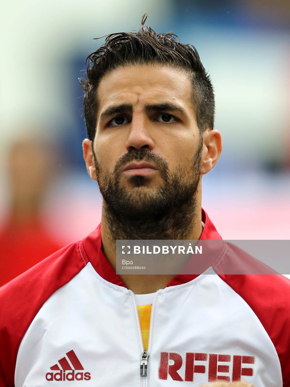 Francesc Cesc Fabregas, Spanien
