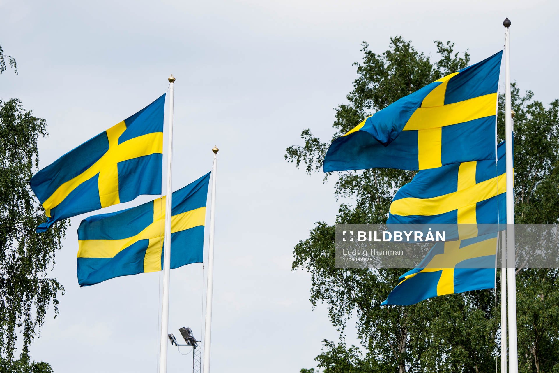 Svenska flaggor