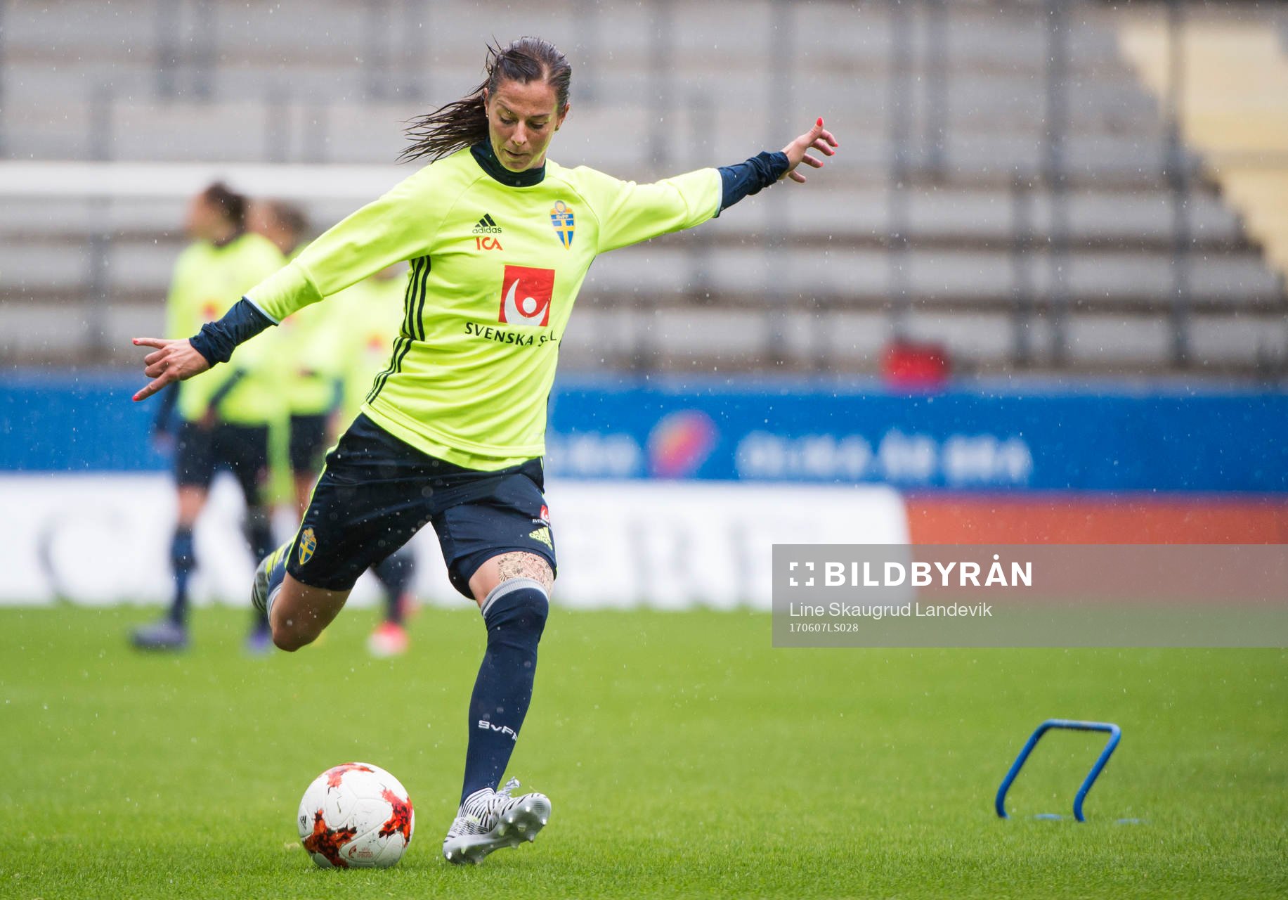 Lotta Schelin