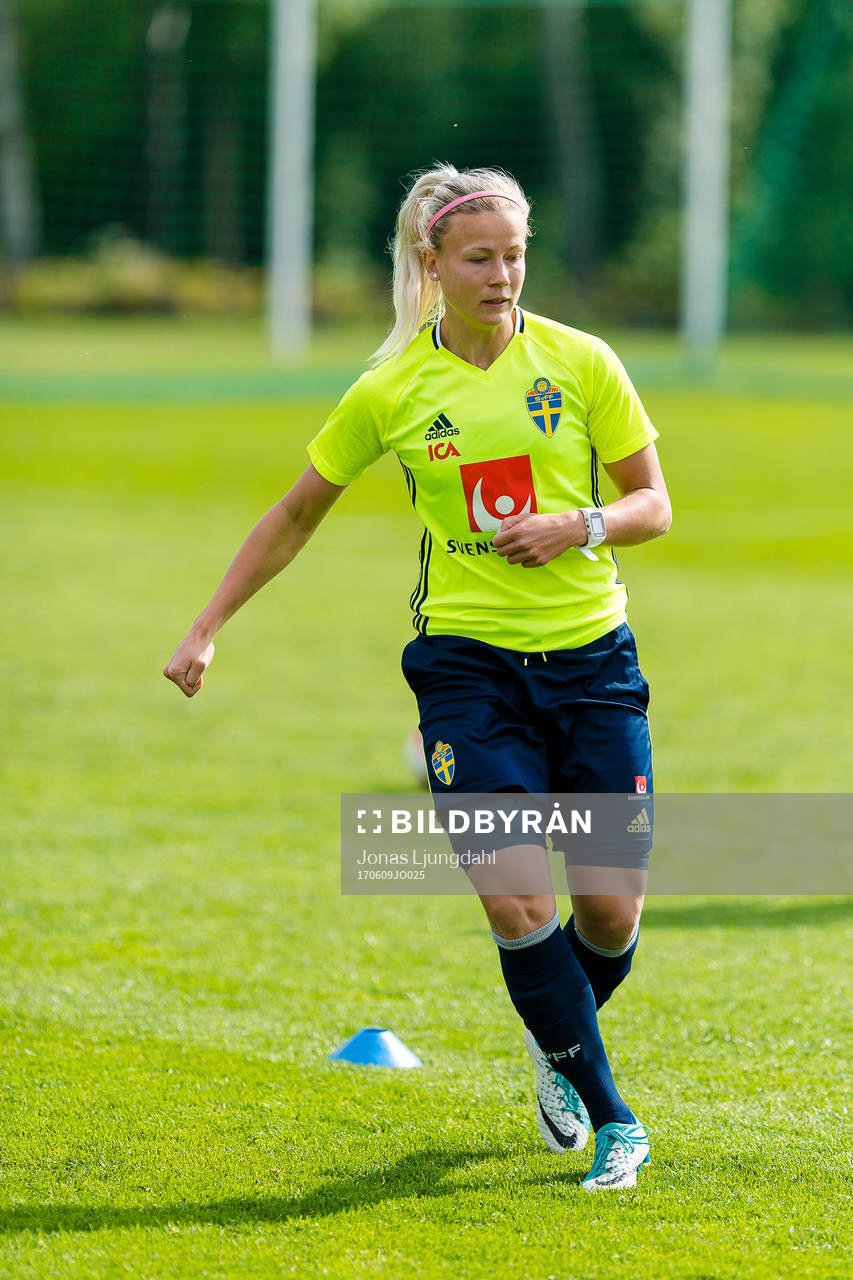 Sveriges Hanna Glas