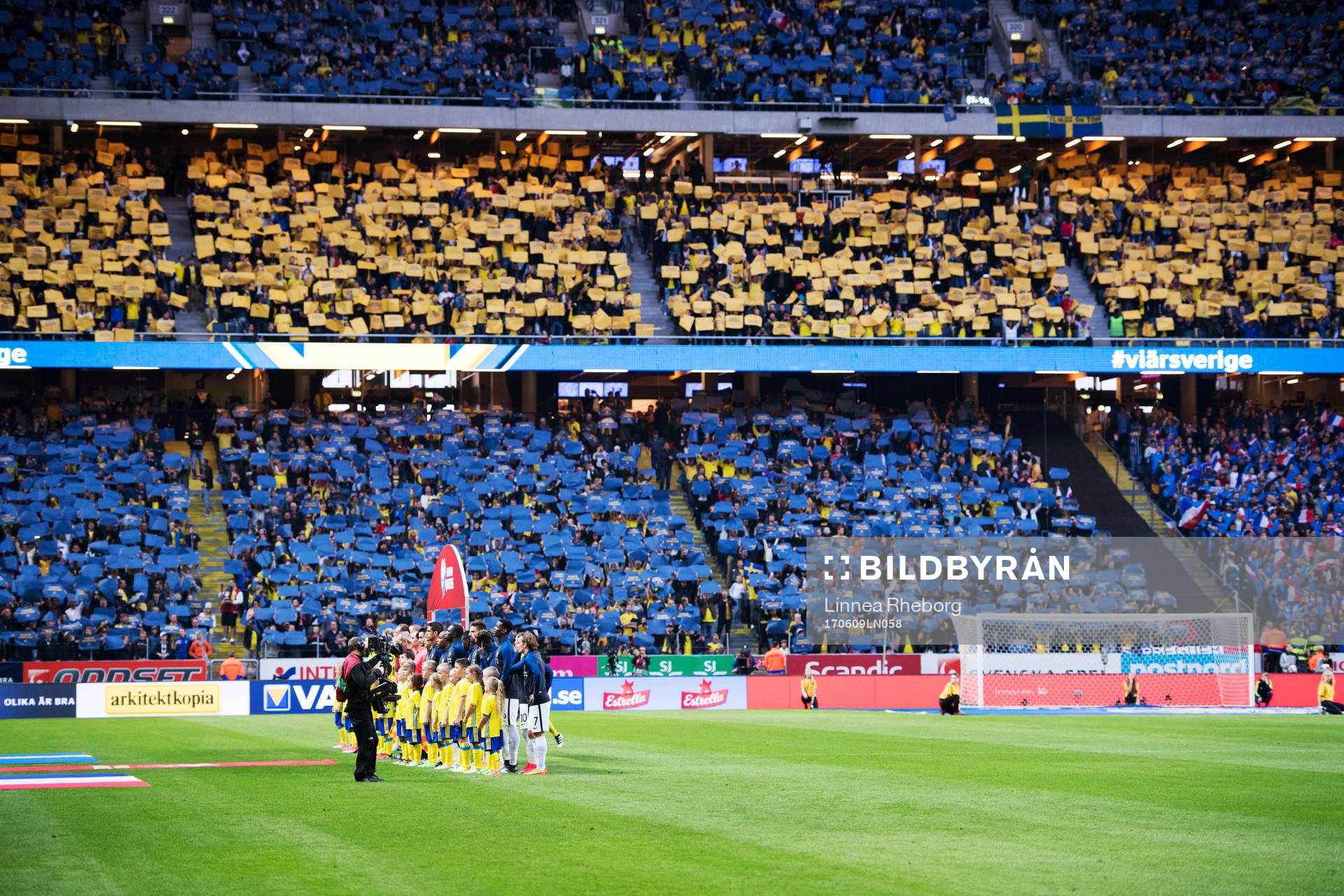 Tifo