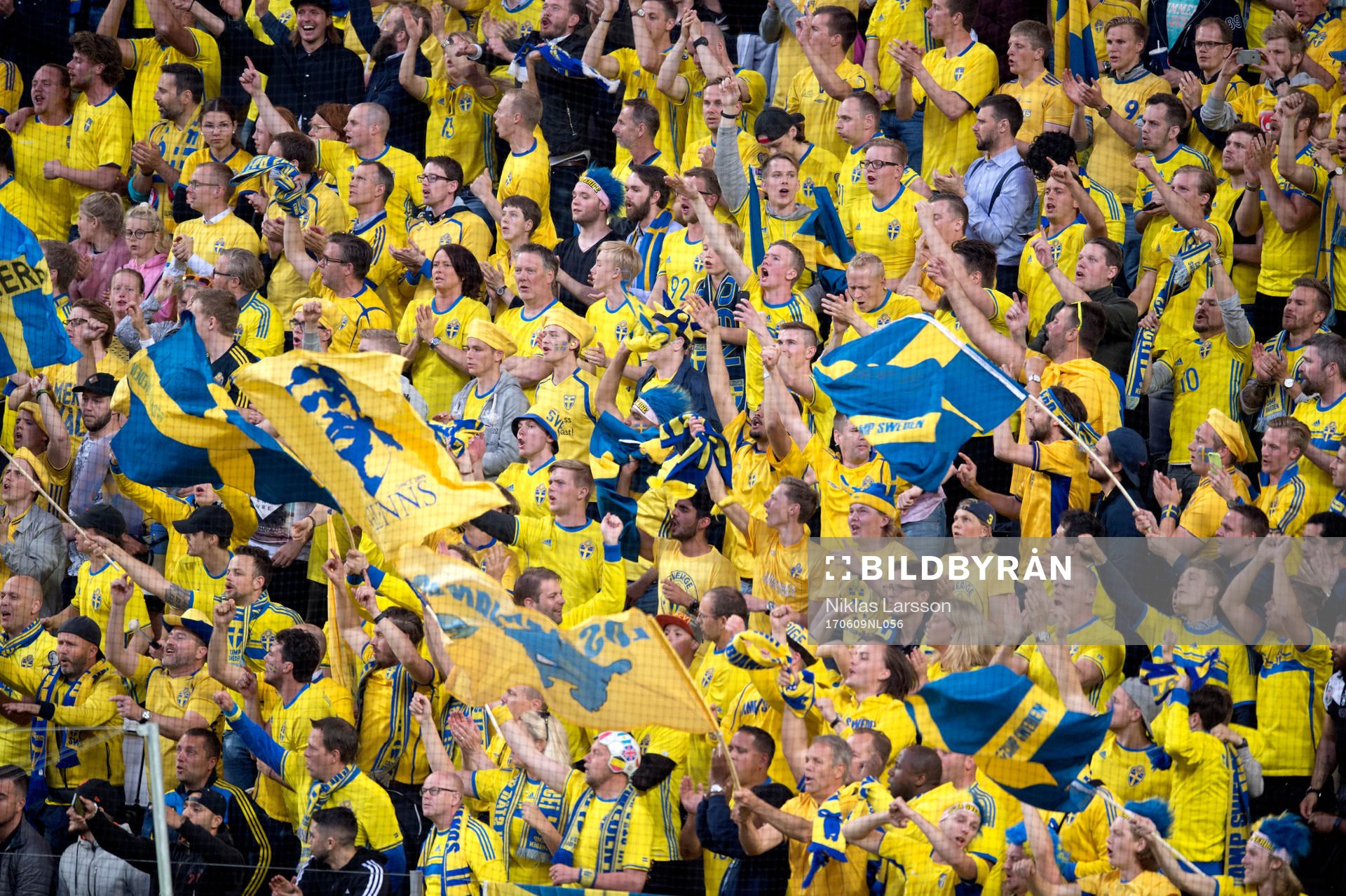 Sveriges fans