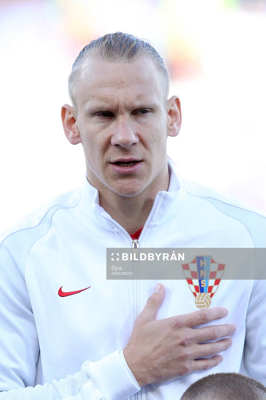 Domagoj Vida