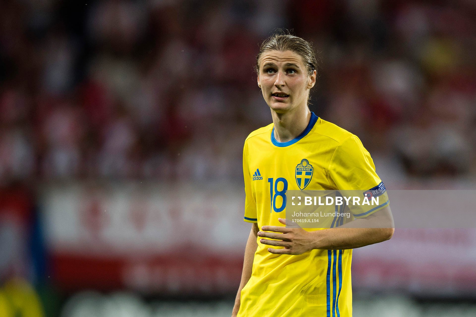 Sveriges Pawel Cibicki