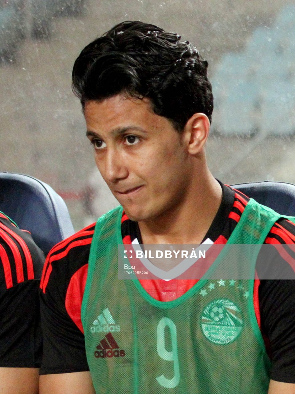 Amr Gamal Sayed Ahmed