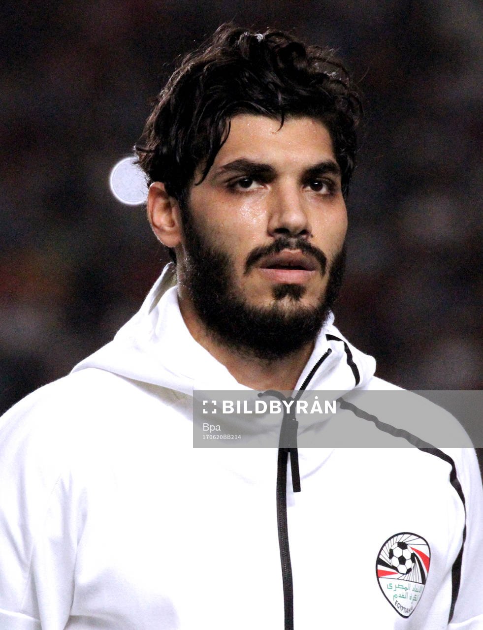 Aly Gabr Gabr Mosaad