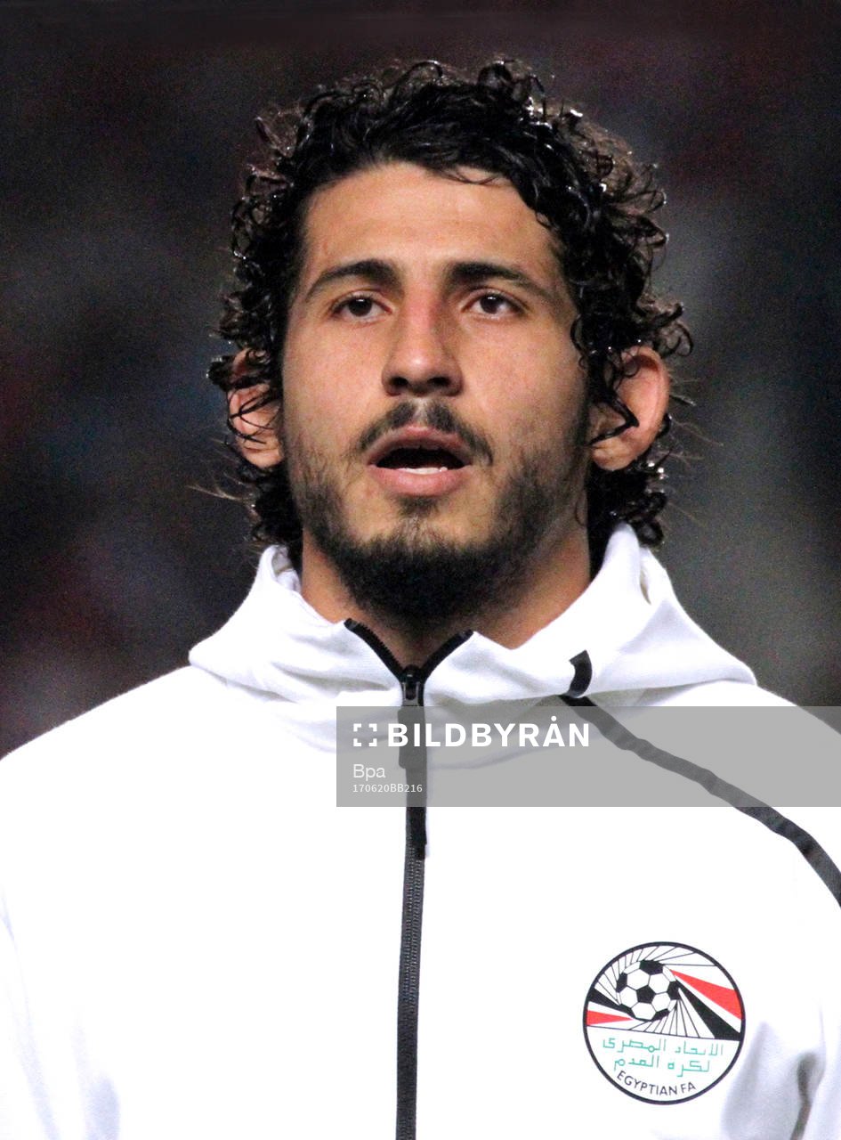 Ahmed El-Sayed Hegazy