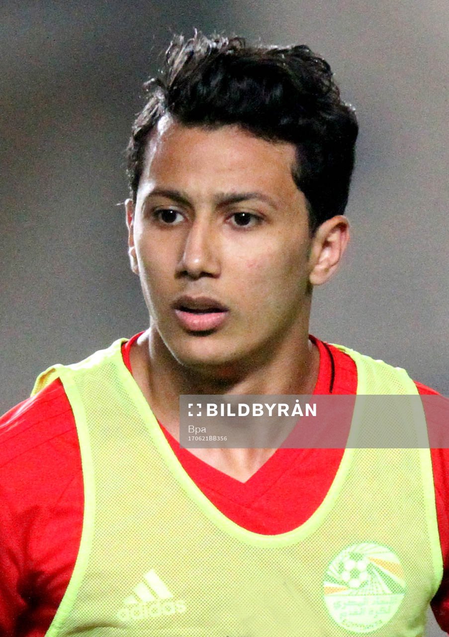 Mahmoud Ibrahim Hassan Trezeguet