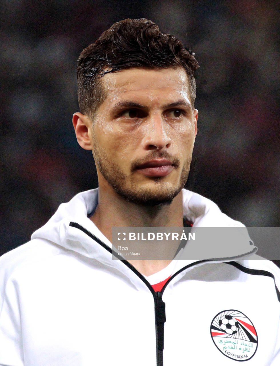 Tarek Hamed