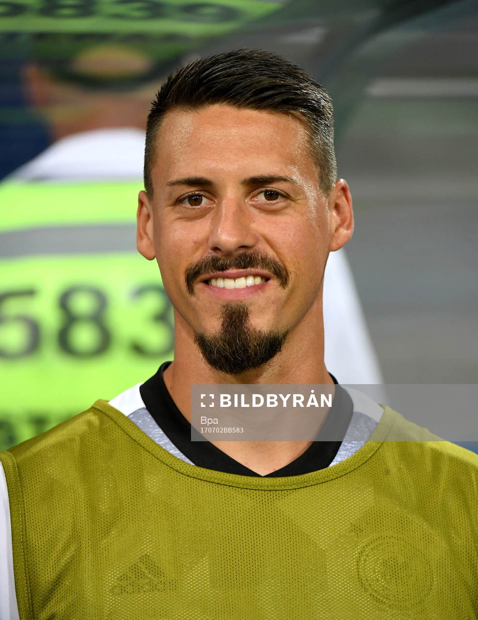 Sandro Wagner, Tyskland