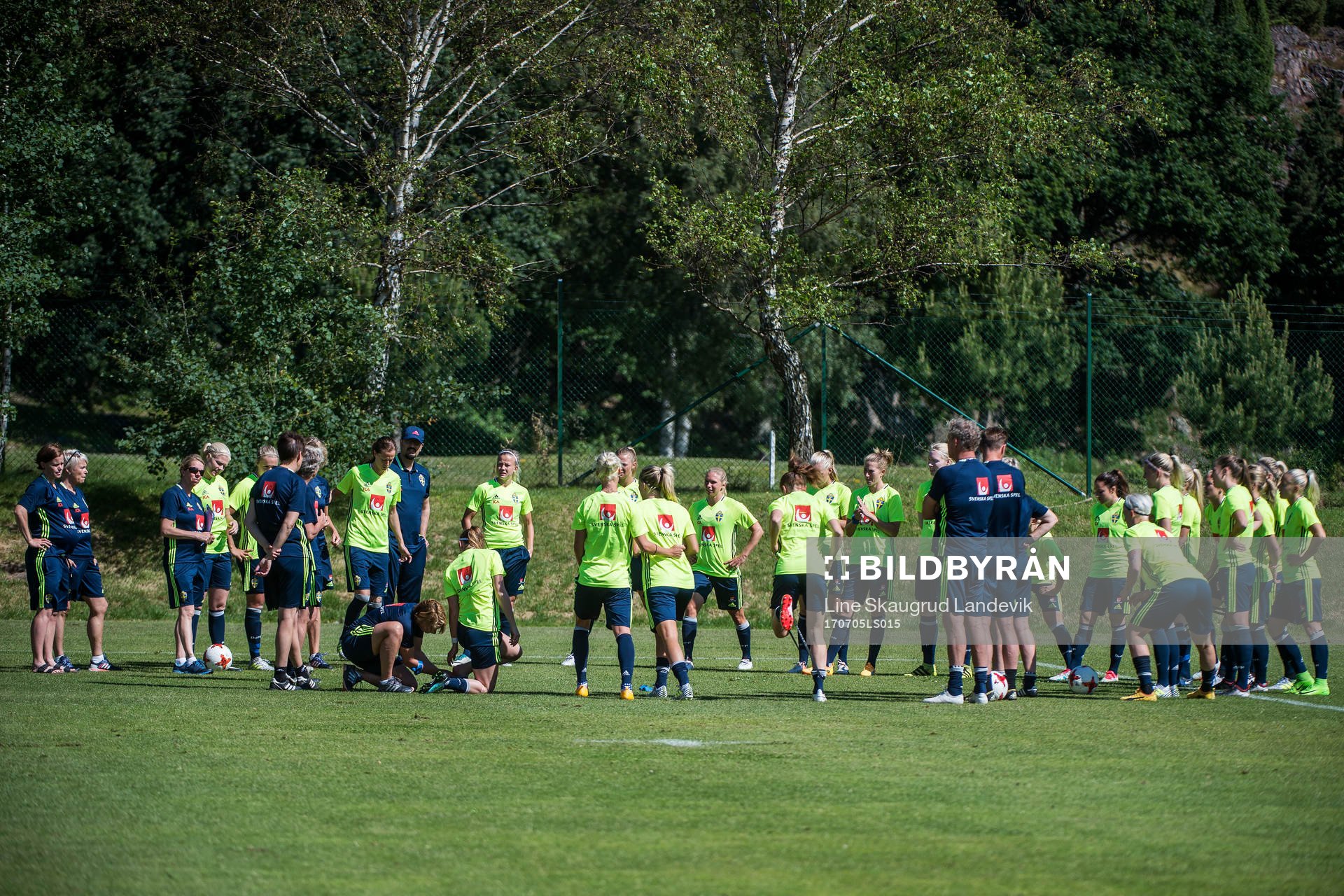 Samling