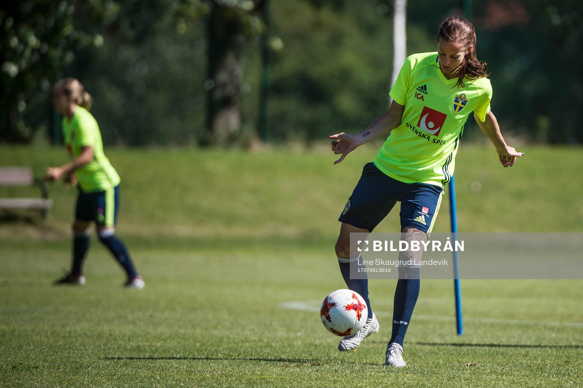 Lotta Schelin