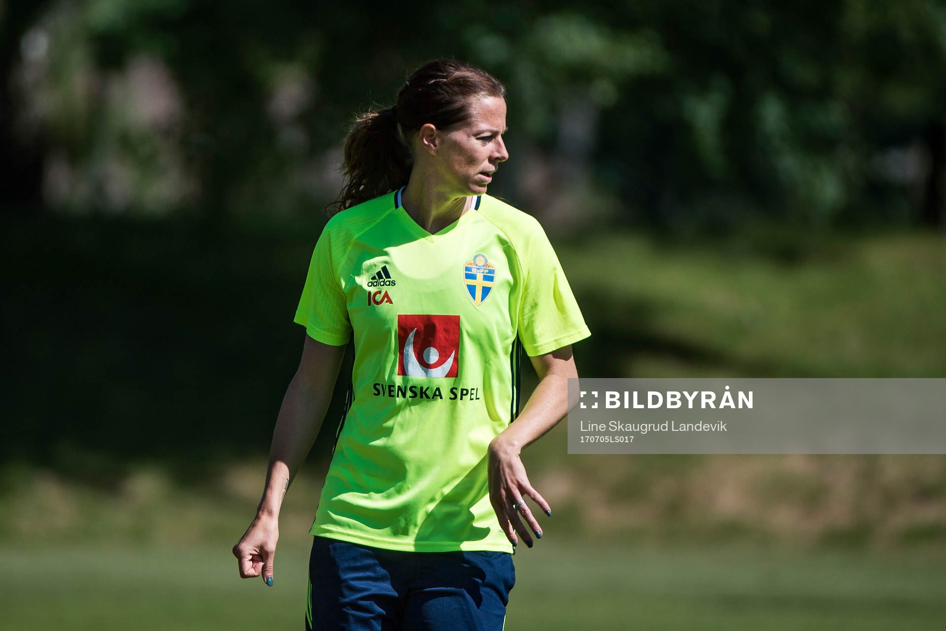 Lotta Schelin