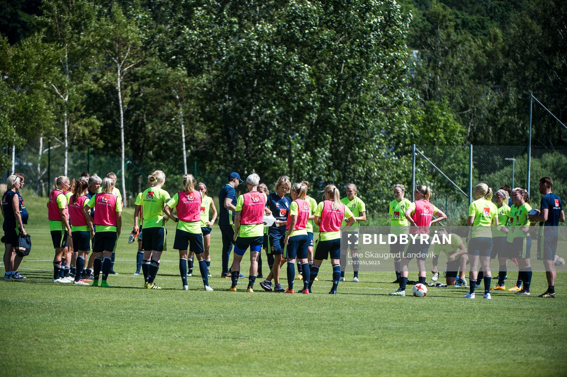 Samling