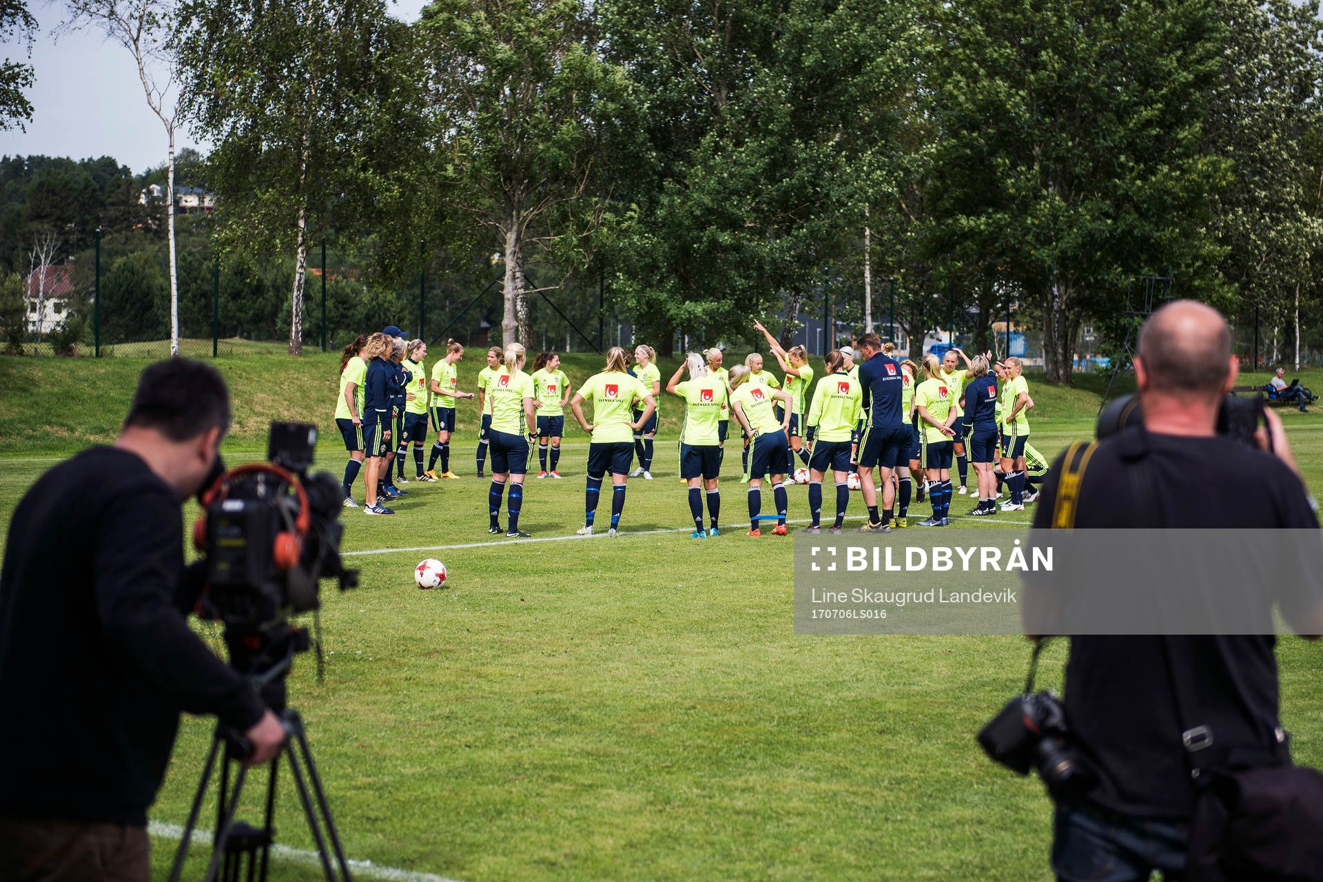 Samling