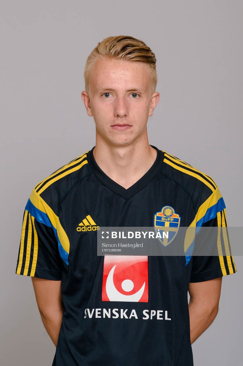 Jonathan Johnsson, Målvakt i P17/00-landslaget