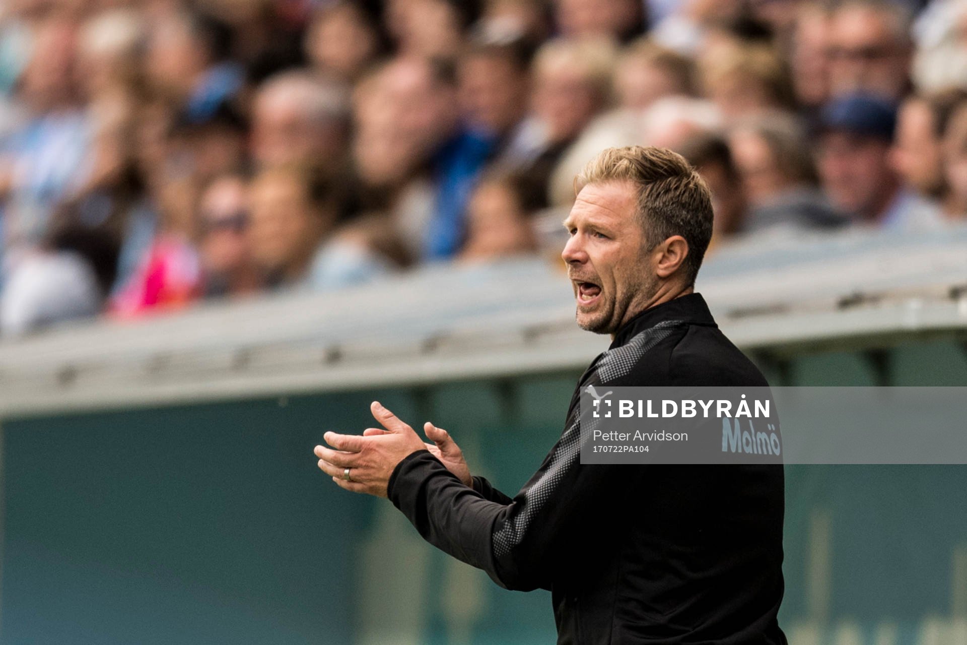 Malmö FFs tränare Magnus Pehrsson