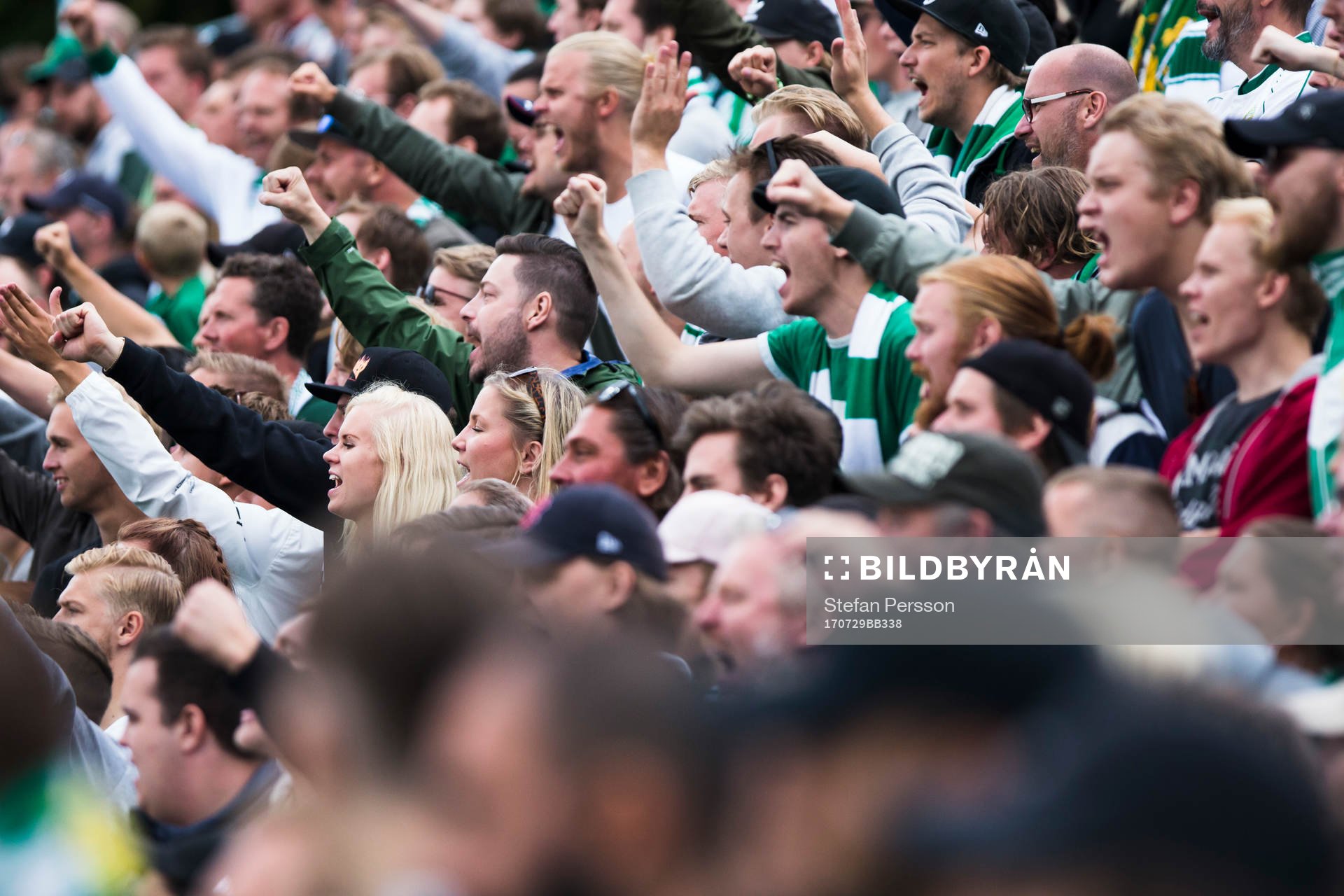 Hammarbys supportrar