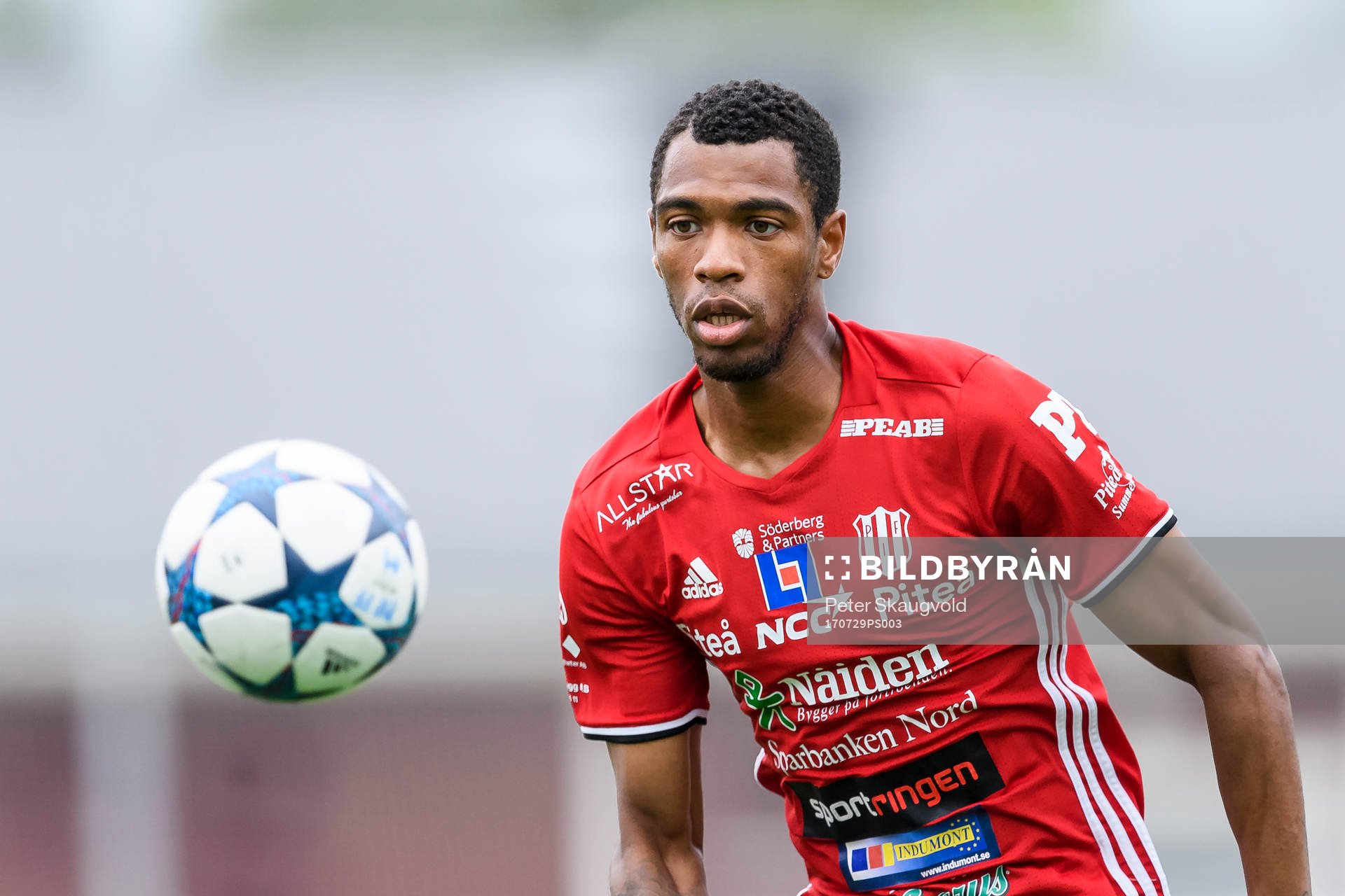 Piteås Kraig Rochester