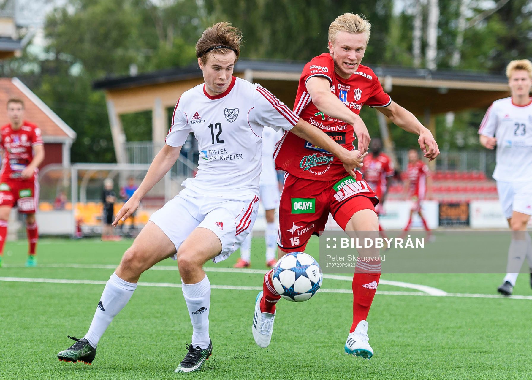 Piteås Johannes Lidström