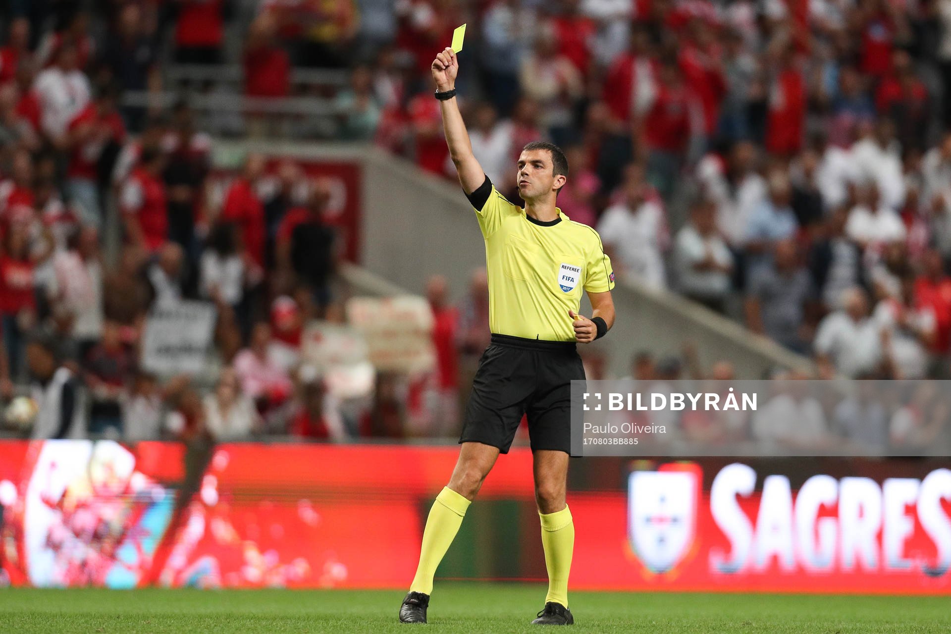 Frank Schneider referee