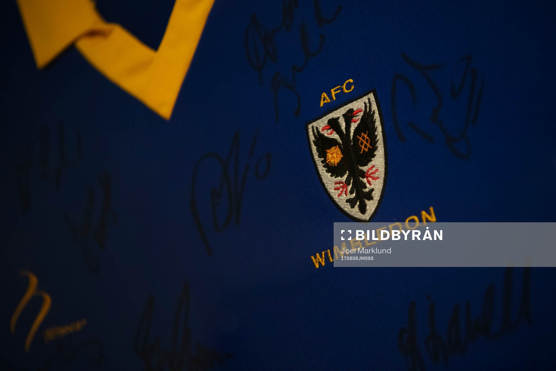 Logotyp på en tröja för fotbollsklubben AFC Wimbledon