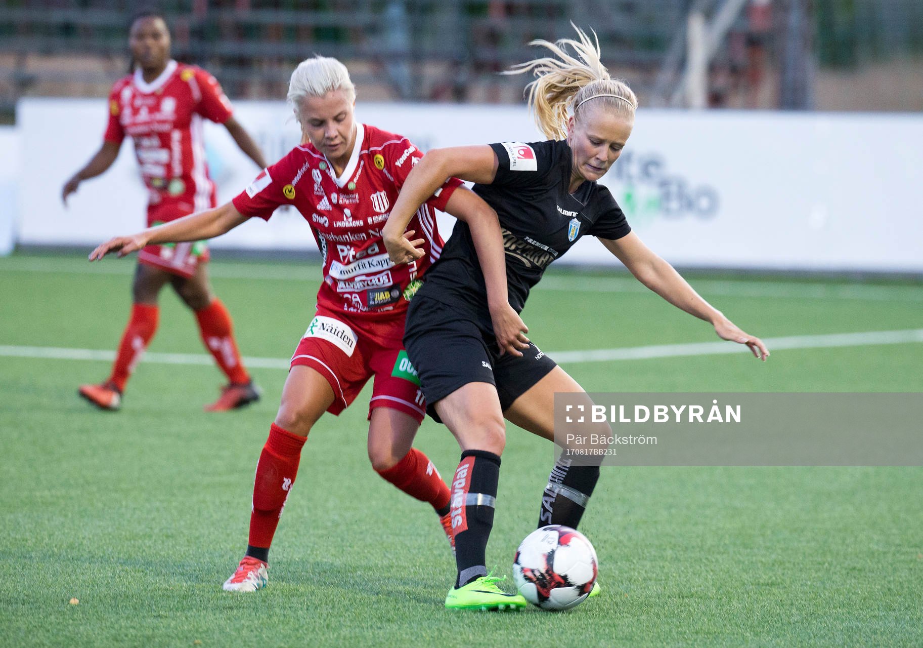 Piteås Lotta ökvist