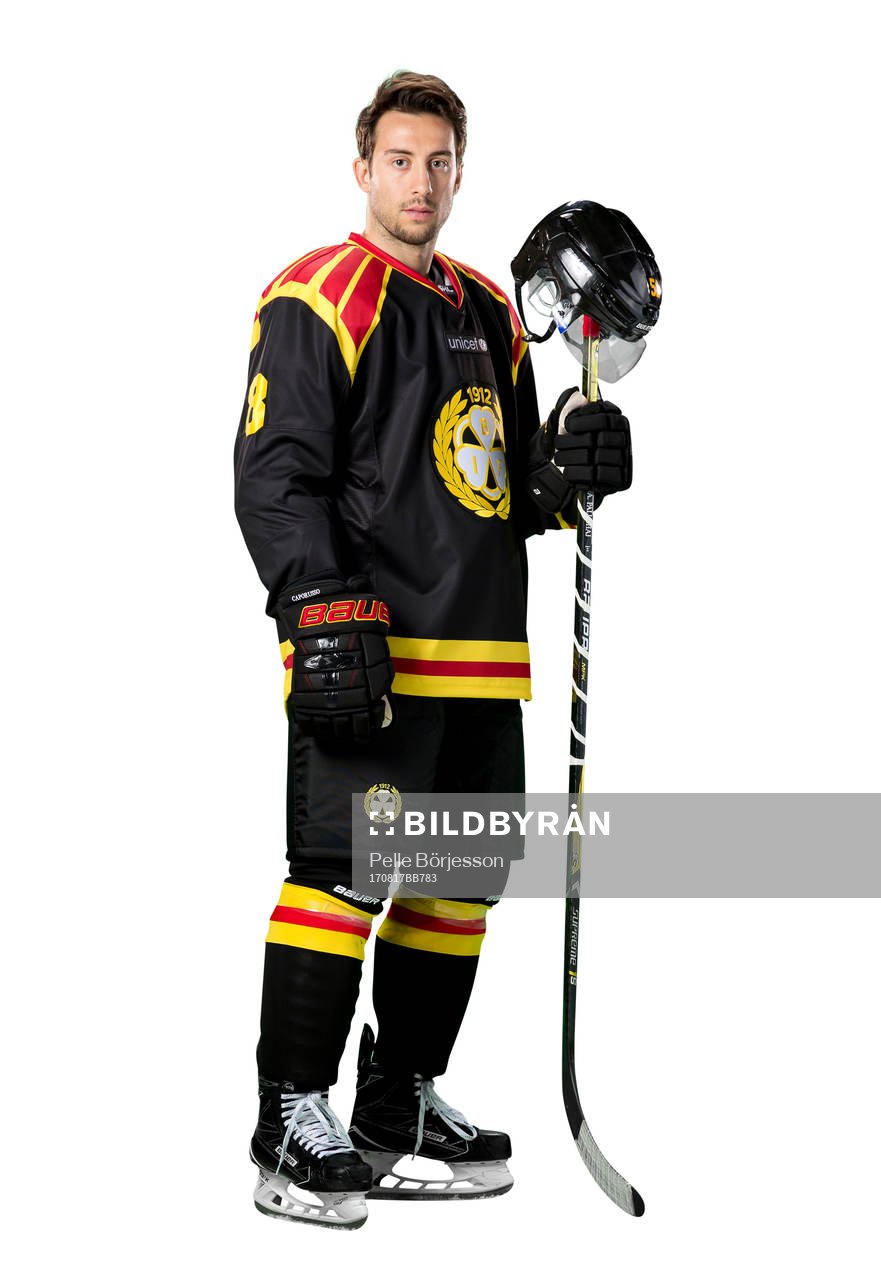 Brynäs Aaron Palushaj