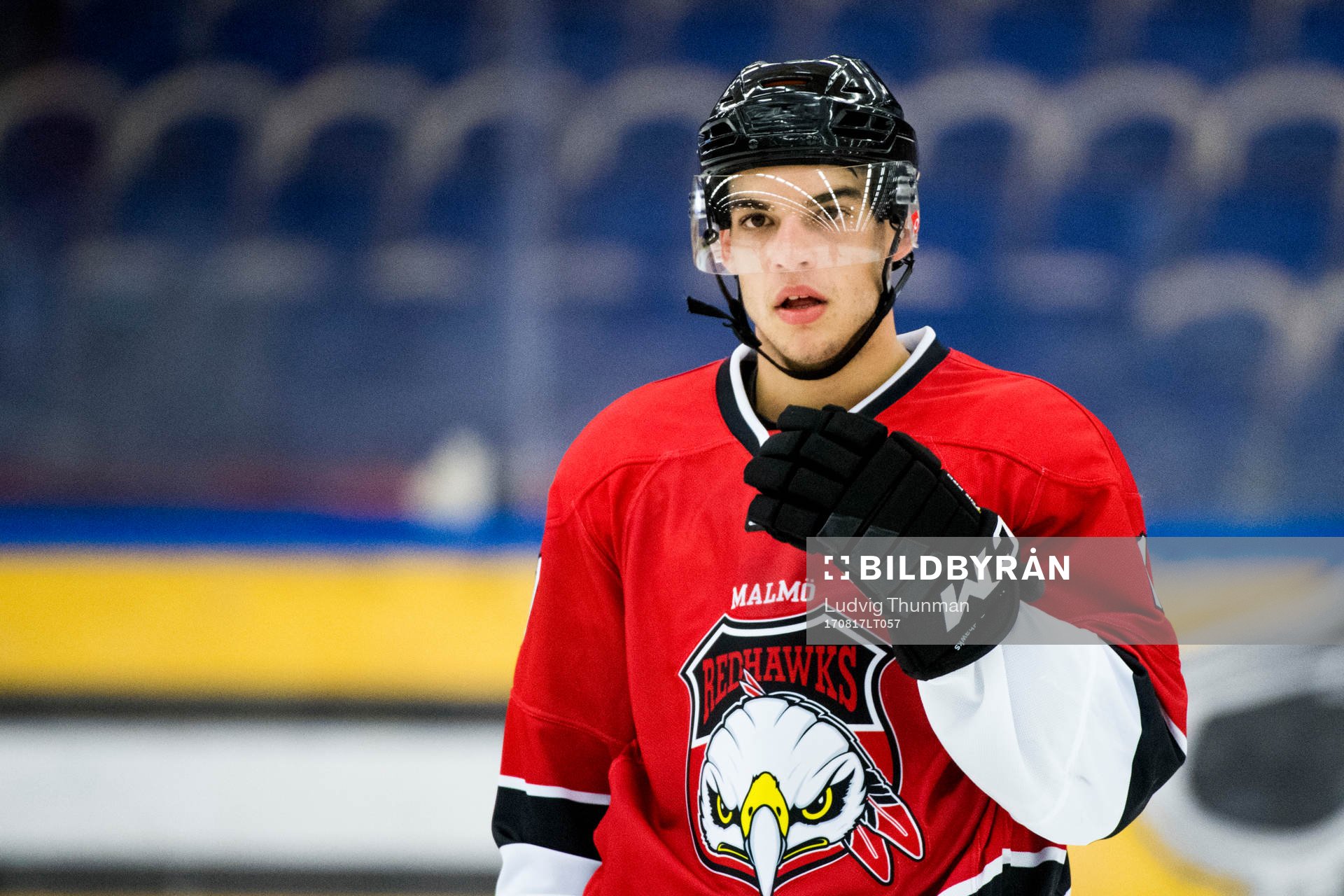 Malmö Redhawks Lukas Haudum