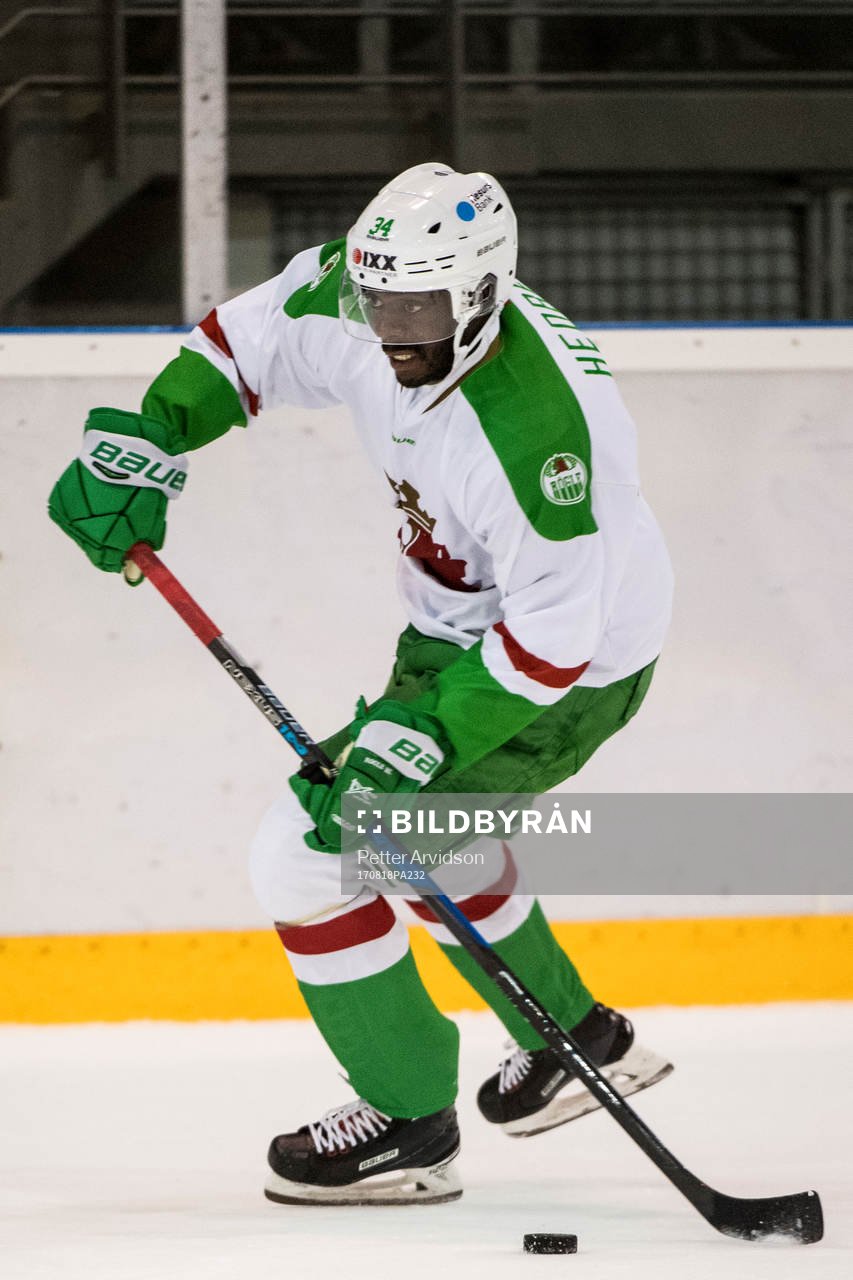 Rögles Edwin Hedberg