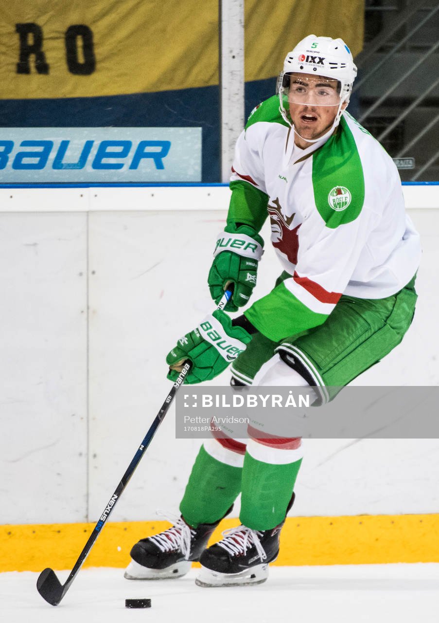 Rögles Alen Bibic