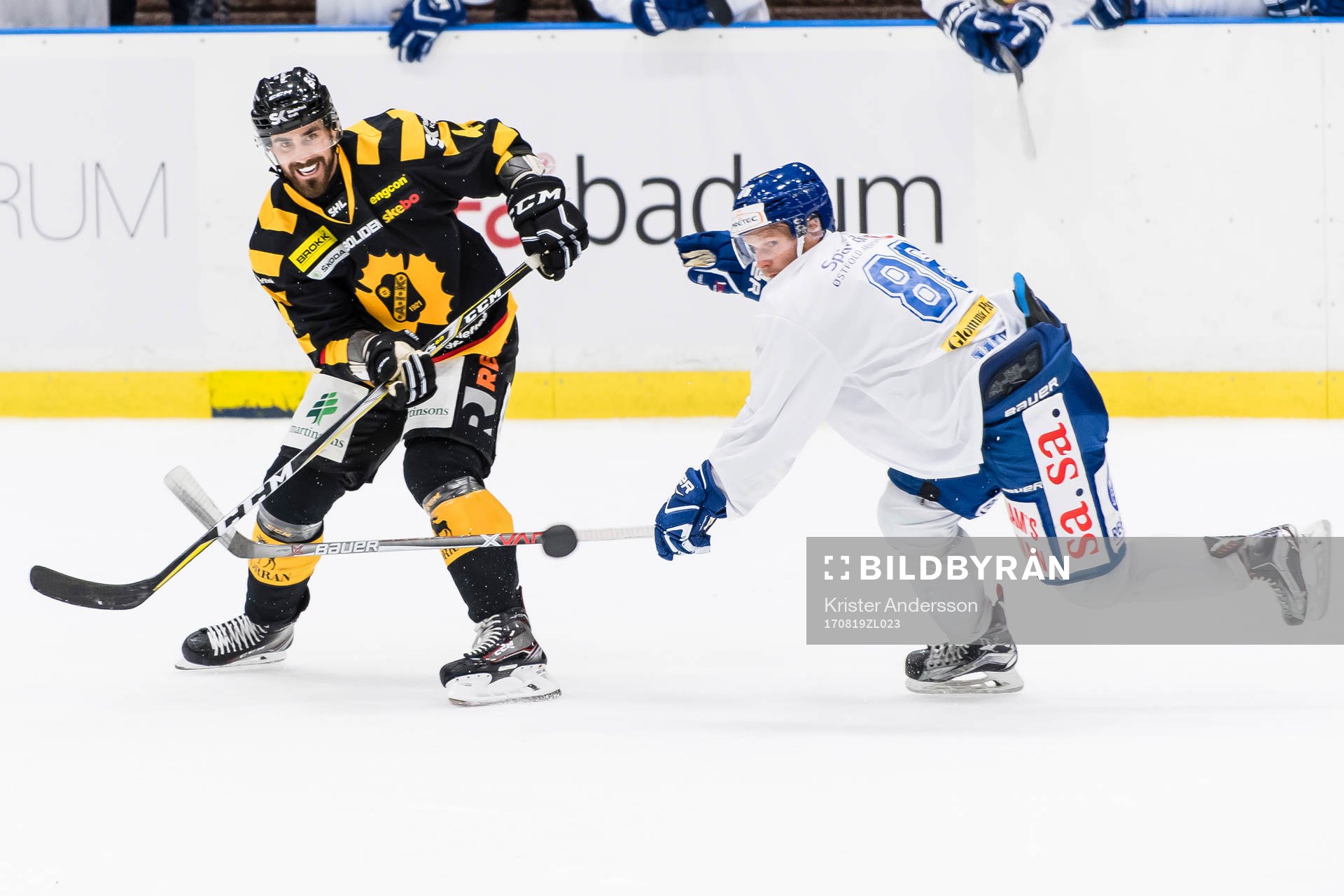 Skellefteås Morgan Ellis och Sparta Sarpsborgs Greg Wolfe
