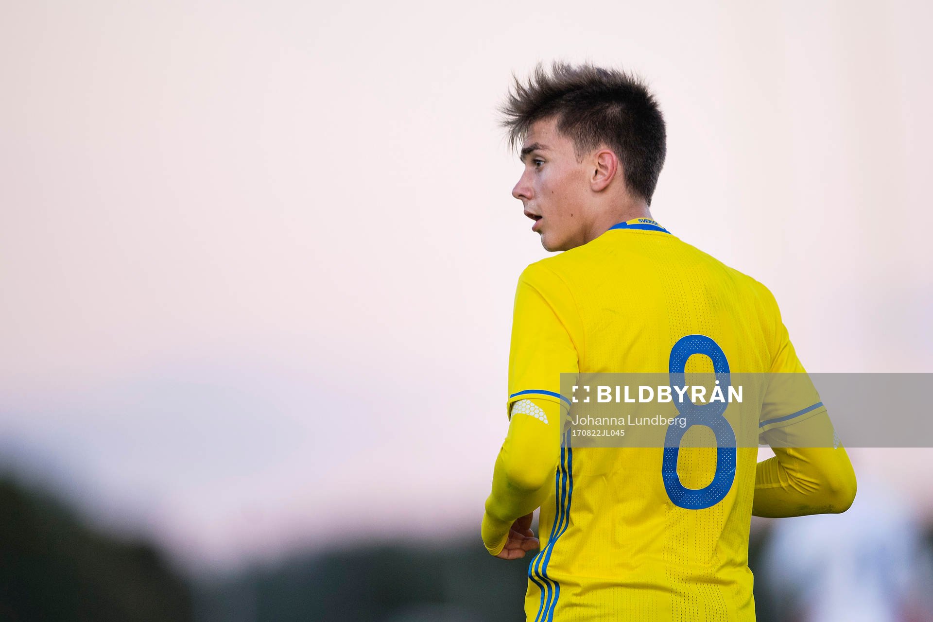 Sveriges Tim Prica
