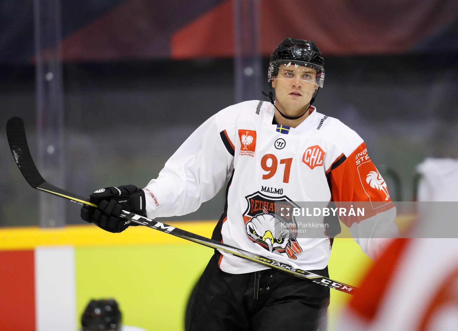 Max Görtz, Malmö Redhawks