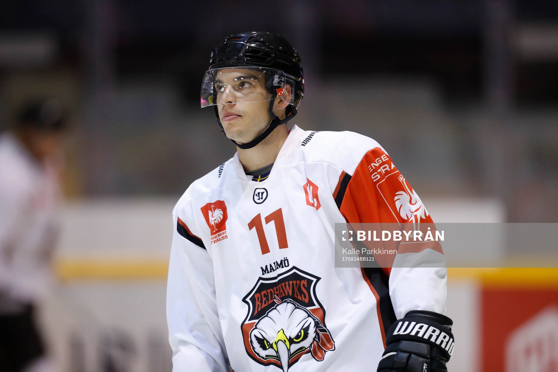 Lukas Haudum, Malmö Redhawks