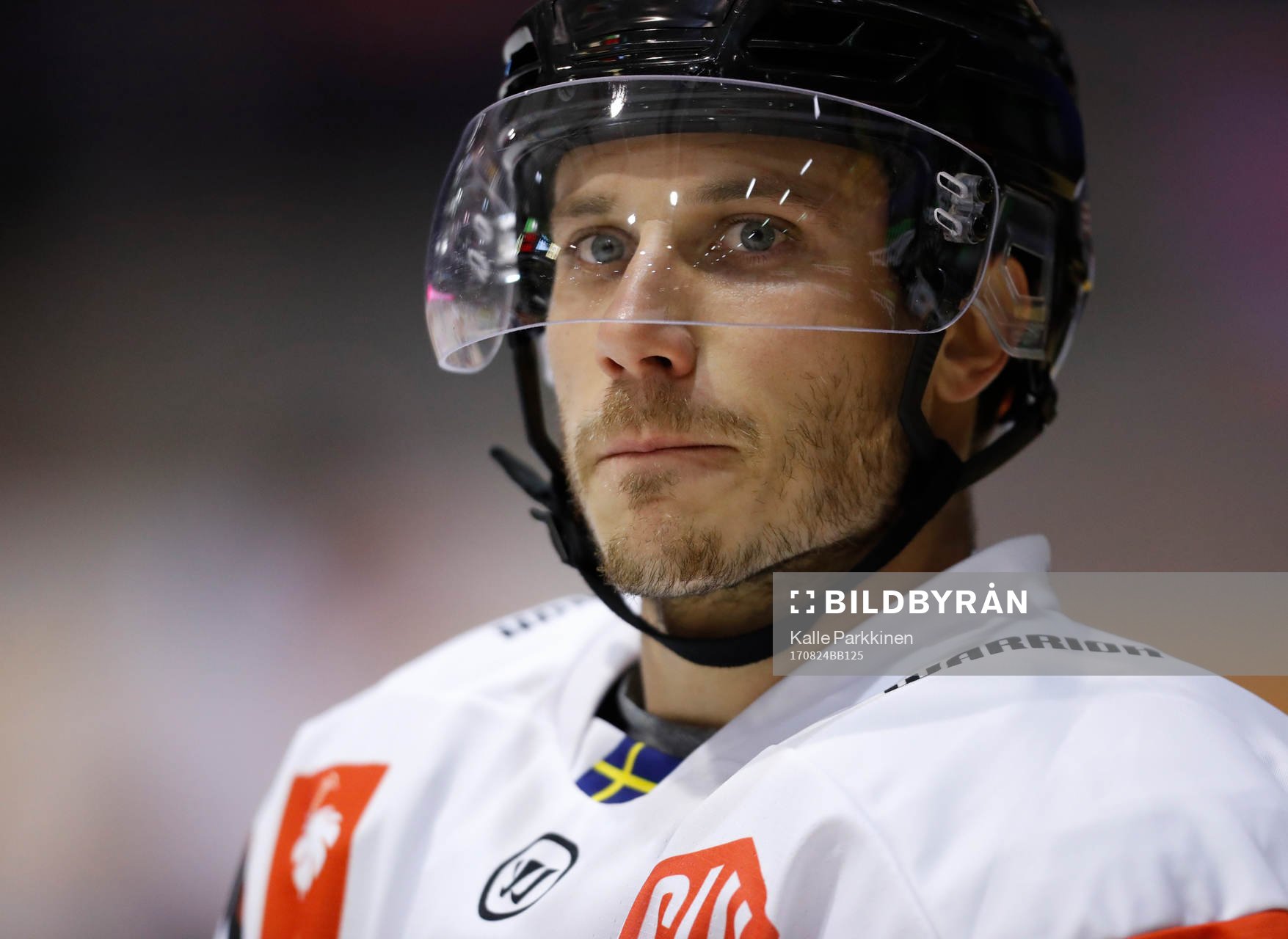 Andy Miele, Malmö Redhawks