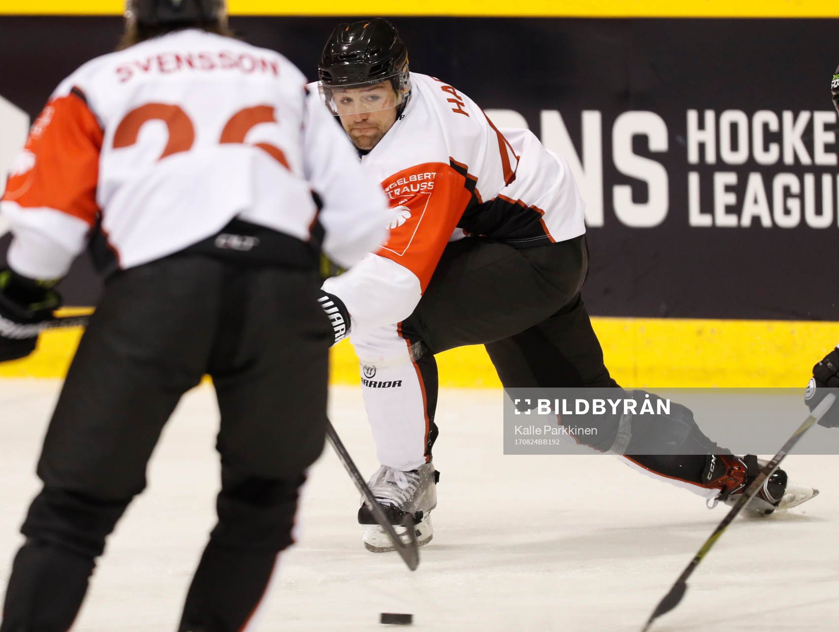 Nichlas Hardt, Malmö Redhawksduring ice hockey Champions