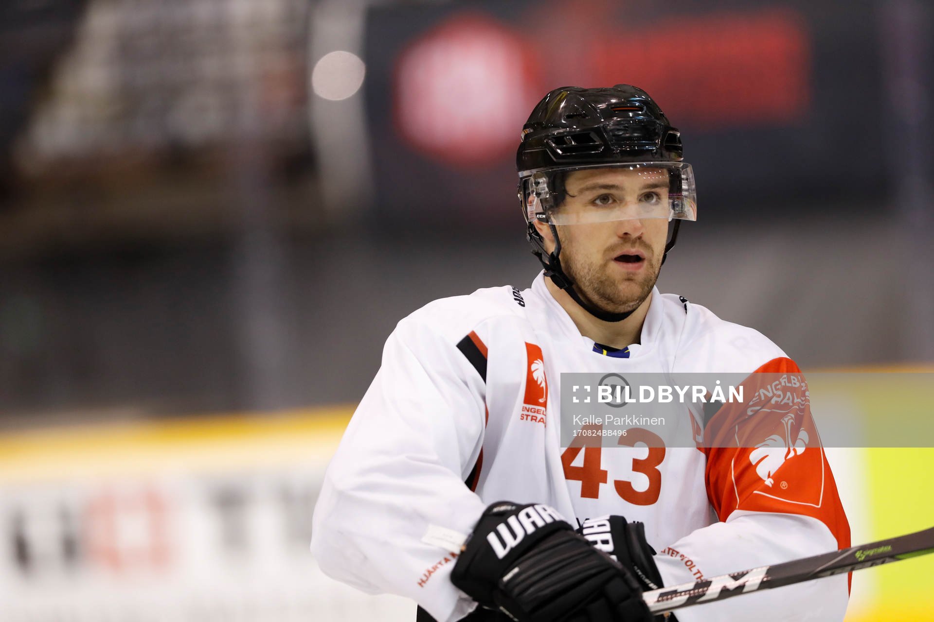 Nichlas Hardt, Malmö Redhawks